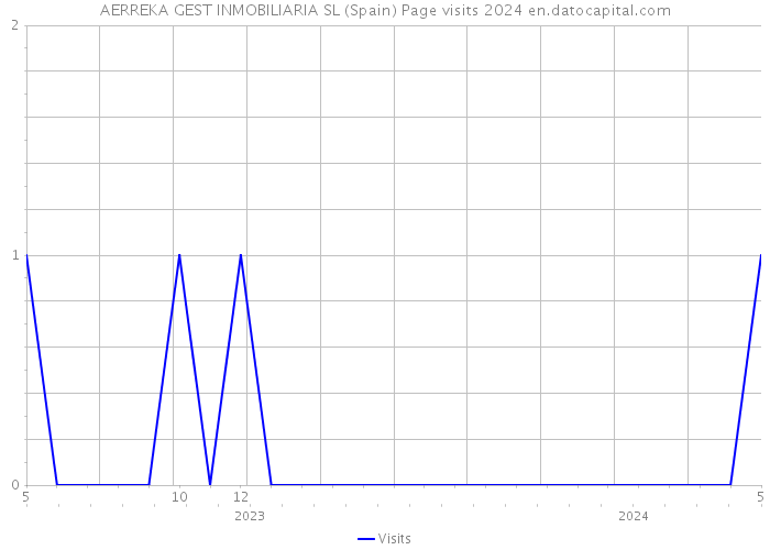 AERREKA GEST INMOBILIARIA SL (Spain) Page visits 2024 