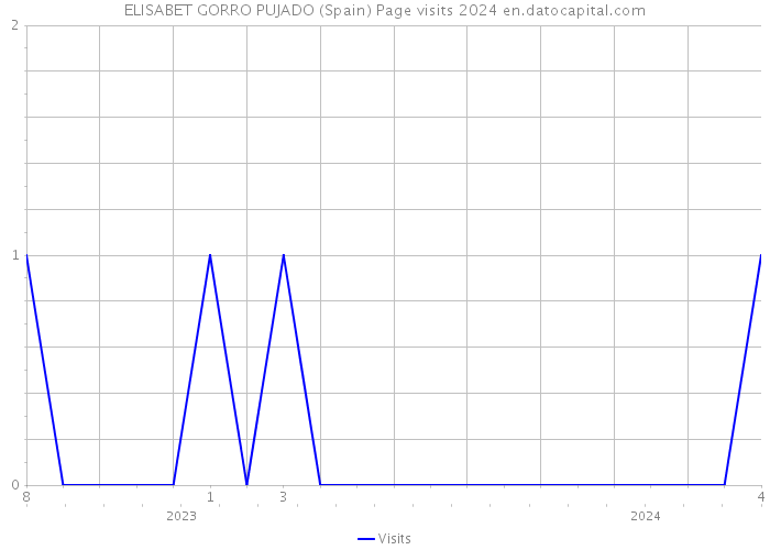 ELISABET GORRO PUJADO (Spain) Page visits 2024 