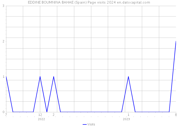 EDDINE BOUMNINA BAHAE (Spain) Page visits 2024 