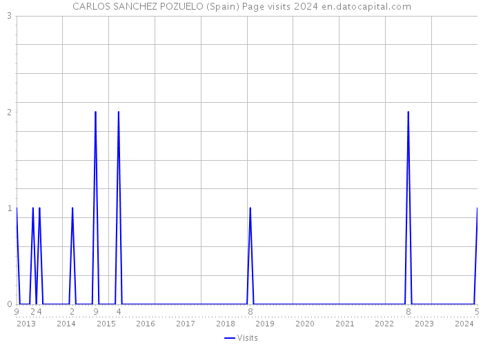 CARLOS SANCHEZ POZUELO (Spain) Page visits 2024 