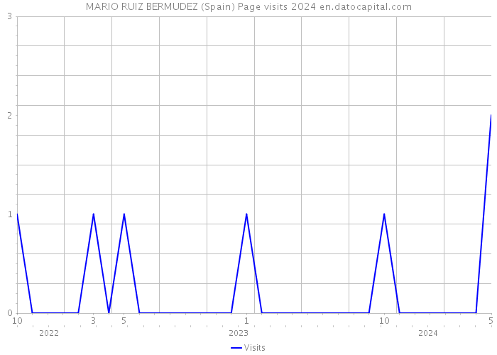 MARIO RUIZ BERMUDEZ (Spain) Page visits 2024 