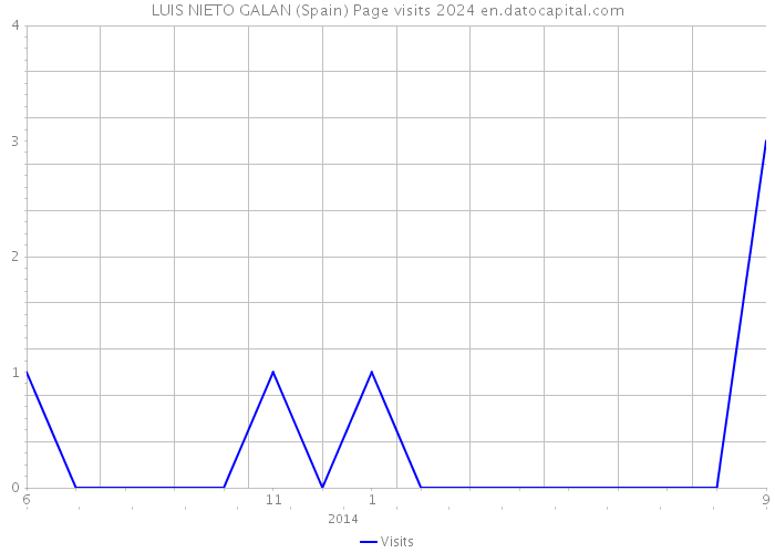 LUIS NIETO GALAN (Spain) Page visits 2024 