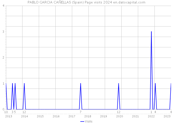 PABLO GARCIA CAÑELLAS (Spain) Page visits 2024 