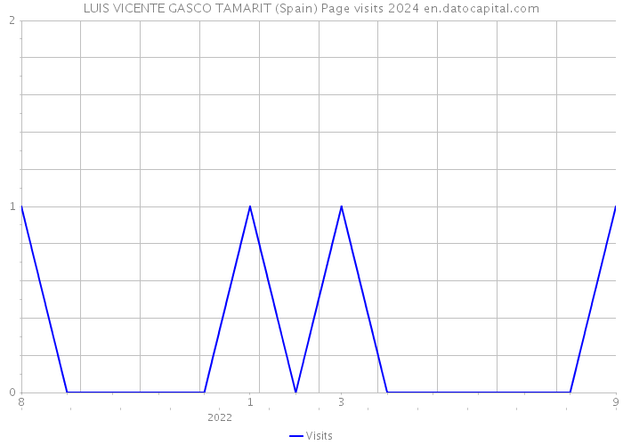 LUIS VICENTE GASCO TAMARIT (Spain) Page visits 2024 