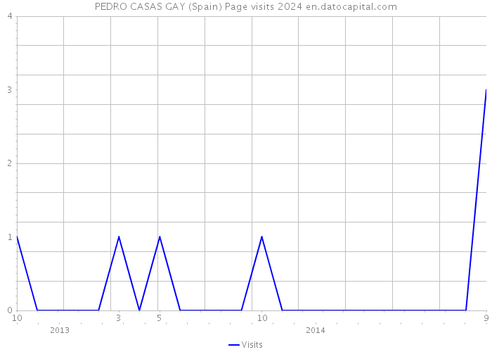 PEDRO CASAS GAY (Spain) Page visits 2024 