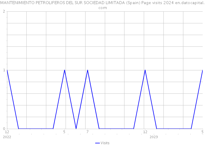 MANTENIMIENTO PETROLIFEROS DEL SUR SOCIEDAD LIMITADA (Spain) Page visits 2024 