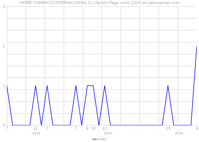 HOME COMERCIO INTERNACIONAL S.L (Spain) Page visits 2024 