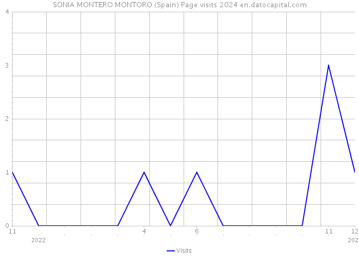 SONIA MONTERO MONTORO (Spain) Page visits 2024 