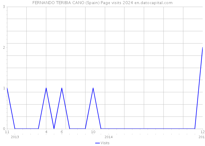 FERNANDO TERIBIA CANO (Spain) Page visits 2024 