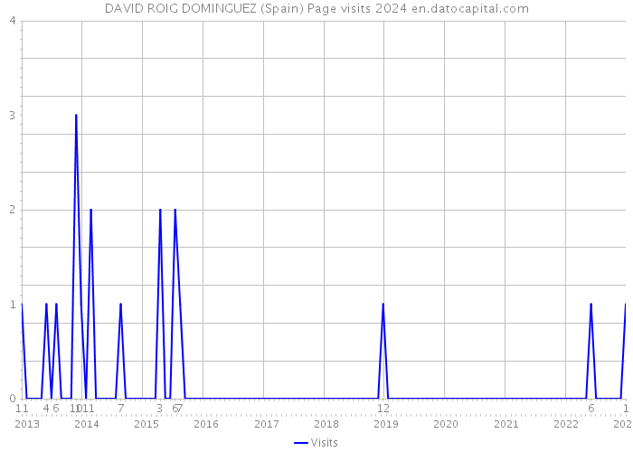 DAVID ROIG DOMINGUEZ (Spain) Page visits 2024 