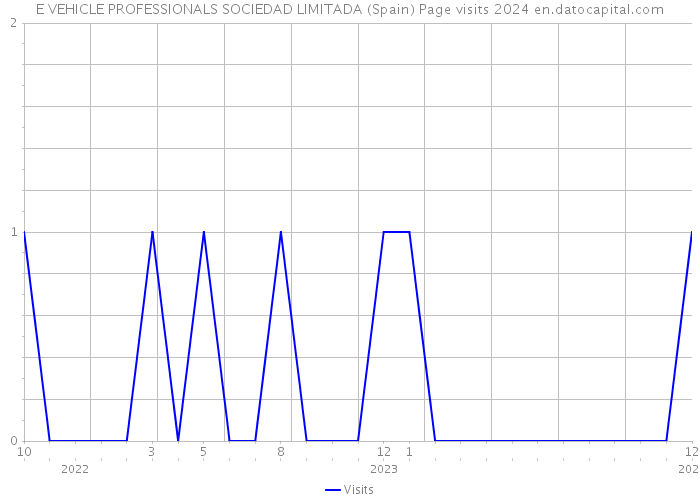 E VEHICLE PROFESSIONALS SOCIEDAD LIMITADA (Spain) Page visits 2024 