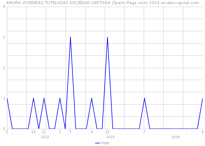 AMURA VIVIENDAS TUTELADAS SOCIEDAD LIMITADA (Spain) Page visits 2024 