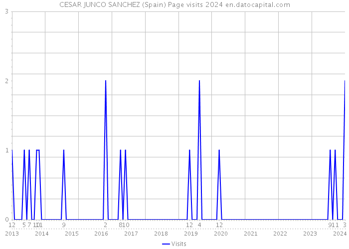 CESAR JUNCO SANCHEZ (Spain) Page visits 2024 