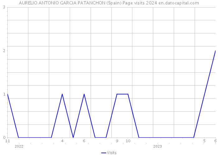 AURELIO ANTONIO GARCIA PATANCHON (Spain) Page visits 2024 
