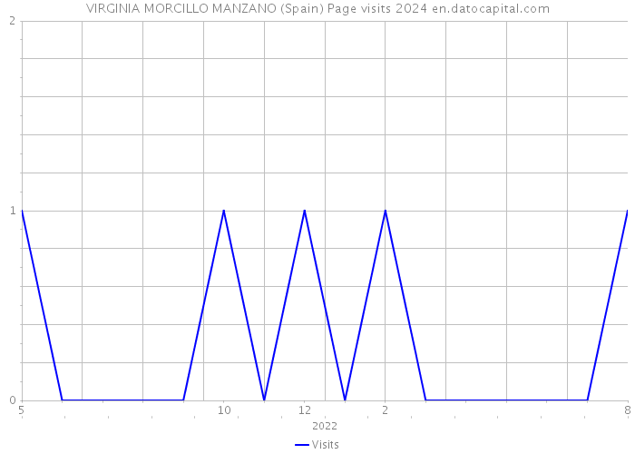 VIRGINIA MORCILLO MANZANO (Spain) Page visits 2024 