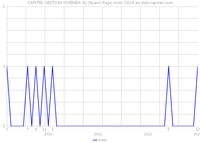 CAPITEL GESTION VIVIENDA SL (Spain) Page visits 2024 
