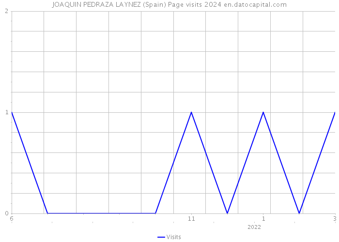 JOAQUIN PEDRAZA LAYNEZ (Spain) Page visits 2024 