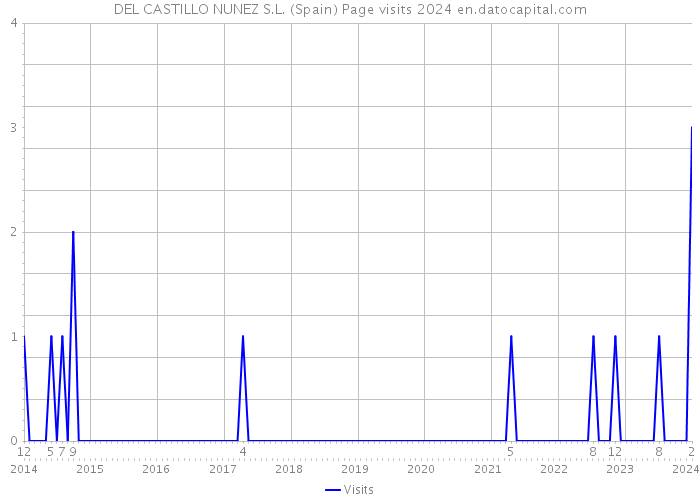 DEL CASTILLO NUNEZ S.L. (Spain) Page visits 2024 