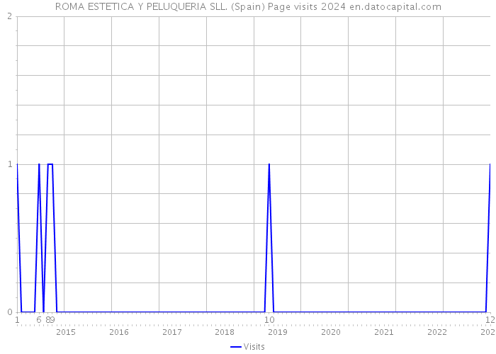 ROMA ESTETICA Y PELUQUERIA SLL. (Spain) Page visits 2024 