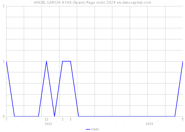 ANGEL GARCIA AYAS (Spain) Page visits 2024 