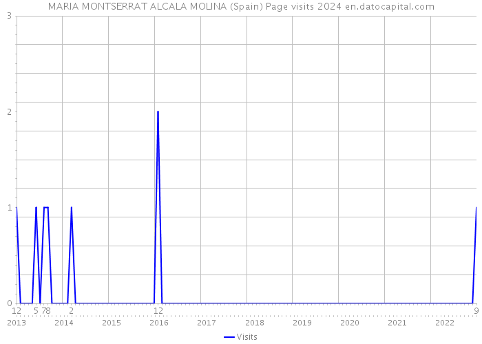 MARIA MONTSERRAT ALCALA MOLINA (Spain) Page visits 2024 