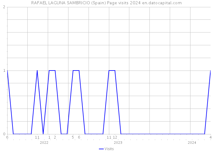 RAFAEL LAGUNA SAMBRICIO (Spain) Page visits 2024 