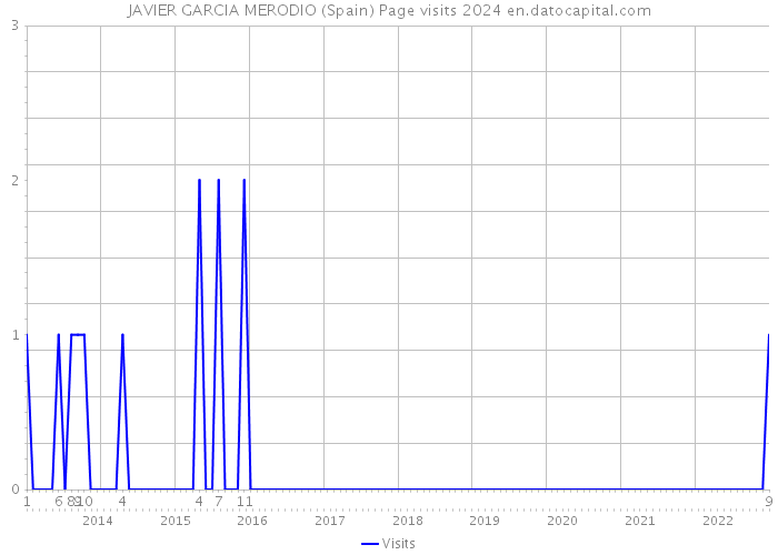 JAVIER GARCIA MERODIO (Spain) Page visits 2024 