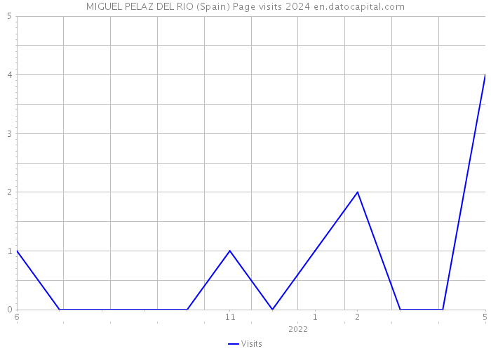 MIGUEL PELAZ DEL RIO (Spain) Page visits 2024 