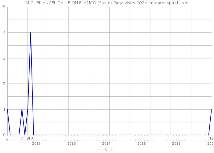 MIGUEL ANGEL CALLEJON BLANCO (Spain) Page visits 2024 