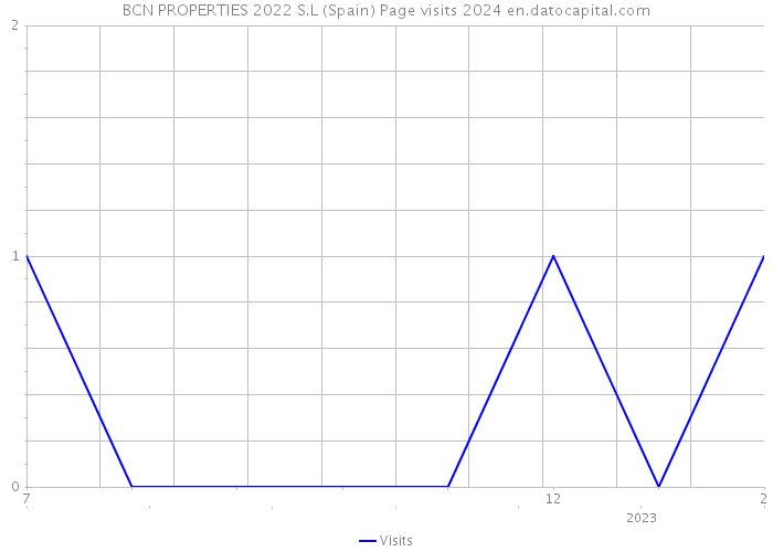 BCN PROPERTIES 2022 S.L (Spain) Page visits 2024 