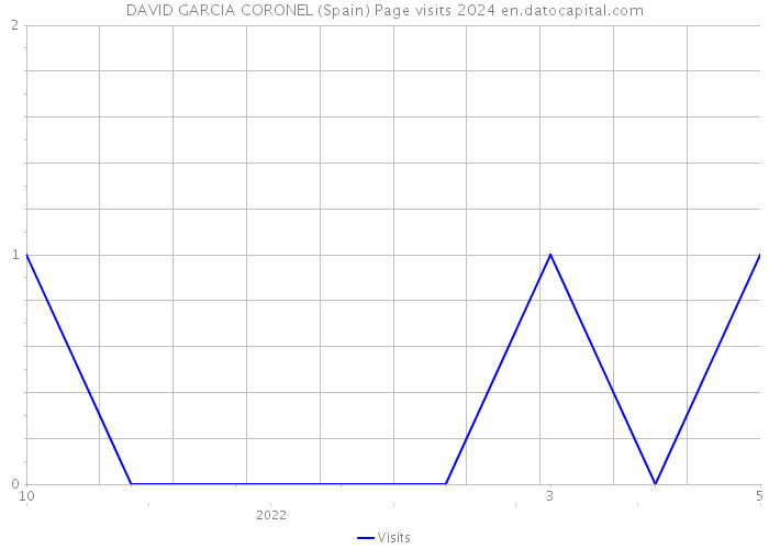 DAVID GARCIA CORONEL (Spain) Page visits 2024 