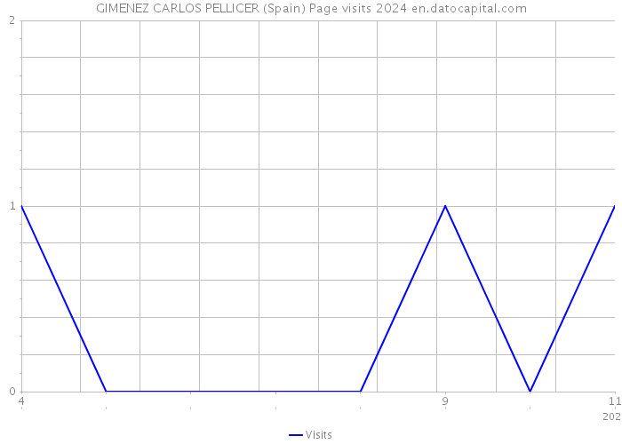 GIMENEZ CARLOS PELLICER (Spain) Page visits 2024 