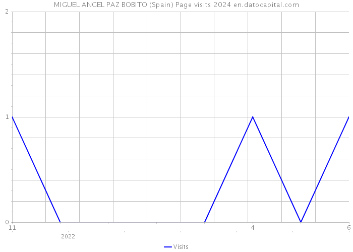 MIGUEL ANGEL PAZ BOBITO (Spain) Page visits 2024 