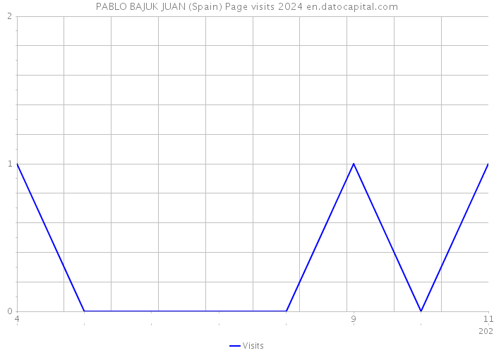 PABLO BAJUK JUAN (Spain) Page visits 2024 