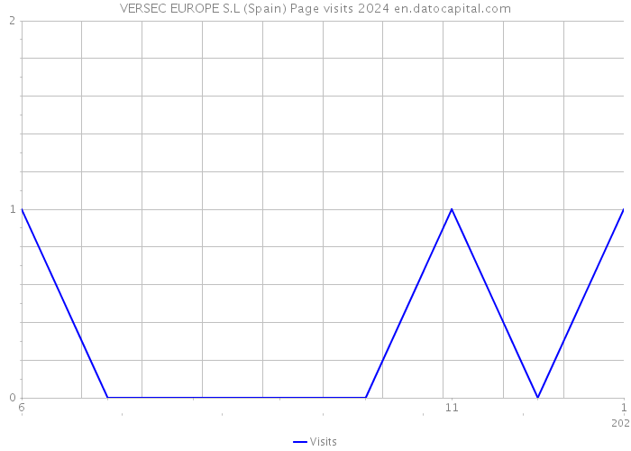 VERSEC EUROPE S.L (Spain) Page visits 2024 