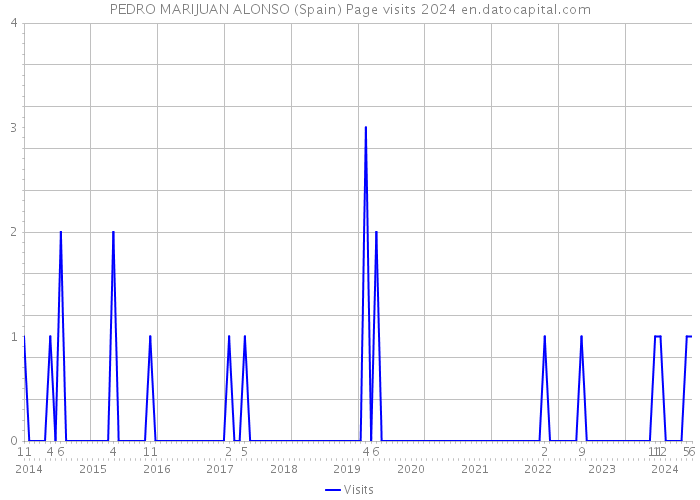 PEDRO MARIJUAN ALONSO (Spain) Page visits 2024 