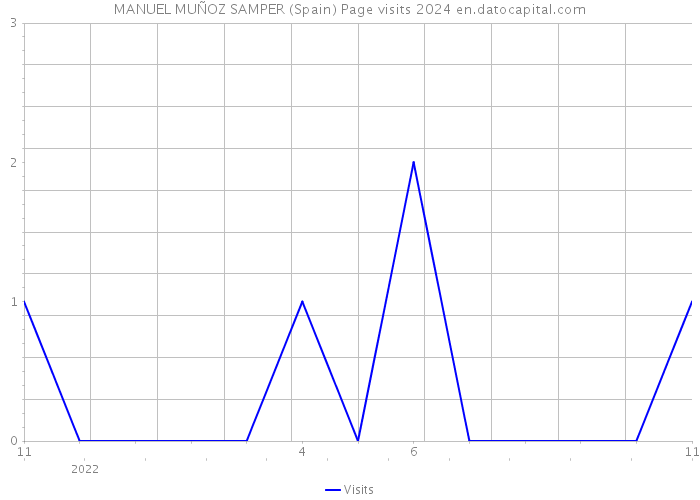 MANUEL MUÑOZ SAMPER (Spain) Page visits 2024 