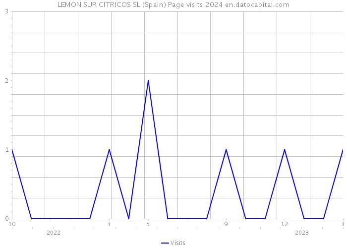 LEMON SUR CITRICOS SL (Spain) Page visits 2024 