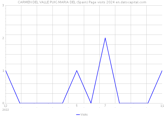 CARMEN DEL VALLE PUIG MARIA DEL (Spain) Page visits 2024 