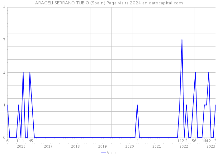 ARACELI SERRANO TUBIO (Spain) Page visits 2024 