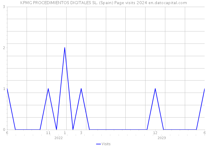 KPMG PROCEDIMIENTOS DIGITALES SL. (Spain) Page visits 2024 