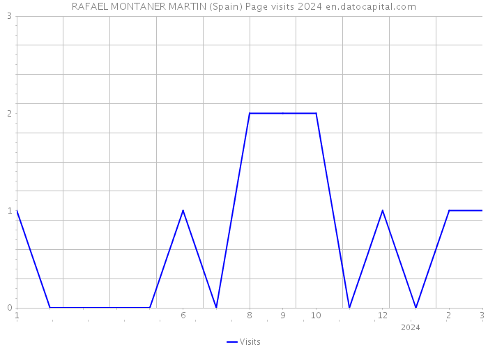 RAFAEL MONTANER MARTIN (Spain) Page visits 2024 