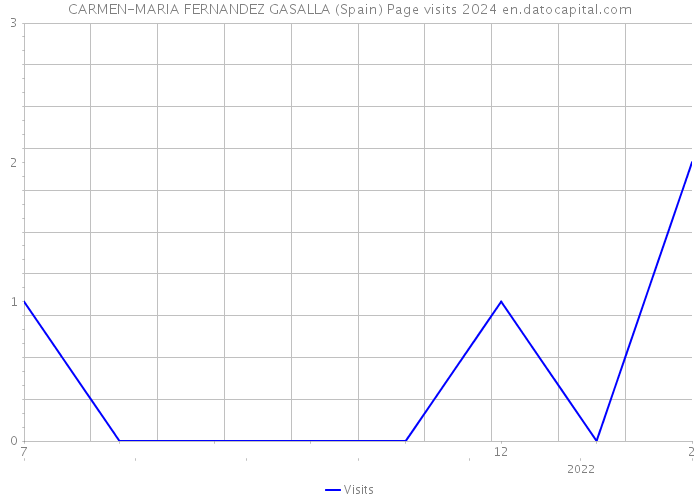 CARMEN-MARIA FERNANDEZ GASALLA (Spain) Page visits 2024 