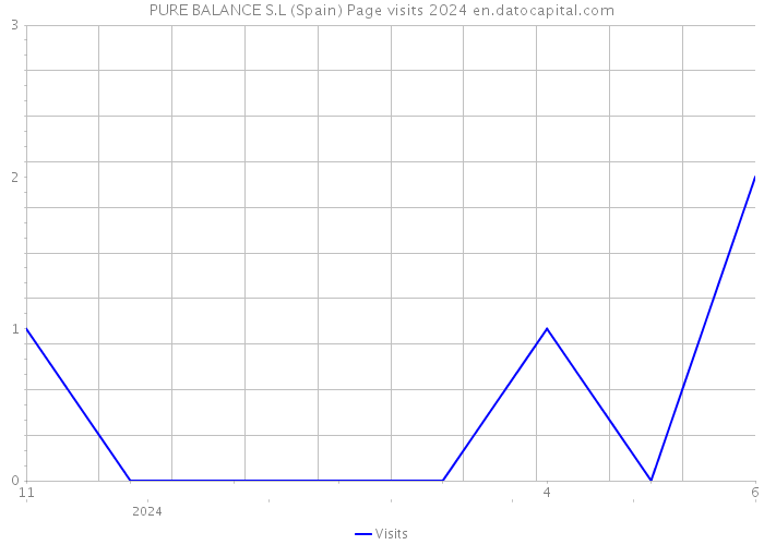 PURE BALANCE S.L (Spain) Page visits 2024 