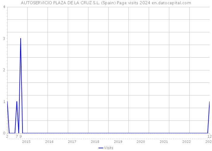 AUTOSERVICIO PLAZA DE LA CRUZ S.L. (Spain) Page visits 2024 