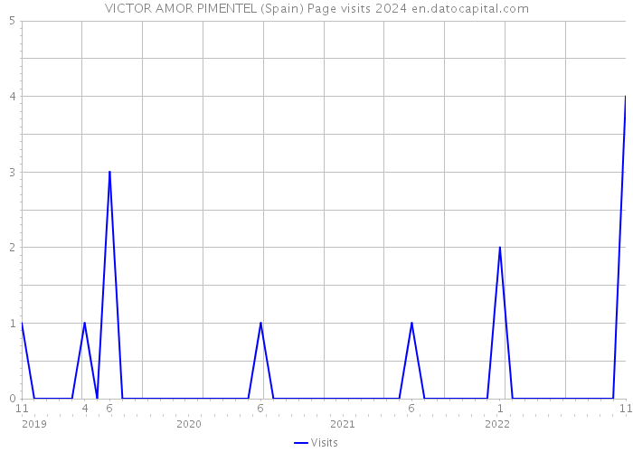 VICTOR AMOR PIMENTEL (Spain) Page visits 2024 