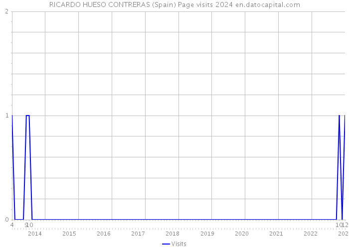RICARDO HUESO CONTRERAS (Spain) Page visits 2024 