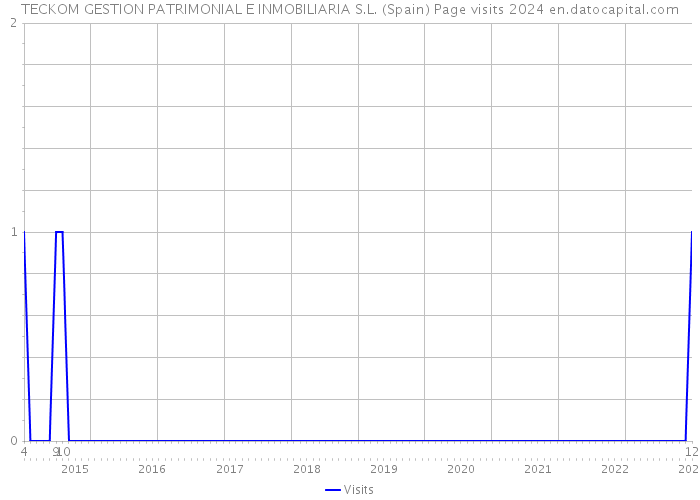 TECKOM GESTION PATRIMONIAL E INMOBILIARIA S.L. (Spain) Page visits 2024 