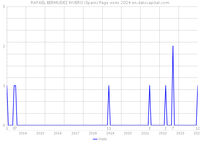 RAFAEL BERMUDEZ RIVERO (Spain) Page visits 2024 