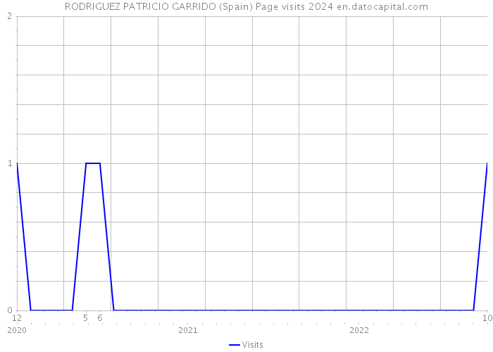 RODRIGUEZ PATRICIO GARRIDO (Spain) Page visits 2024 